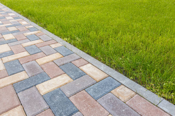 Best Local Driveway Pavers  in Riverview Rk, PA